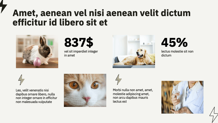 Spark Pulse Beige Dynamic slide 7